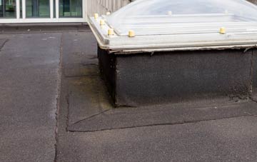 disadvantages of Newton Solney flat roofs